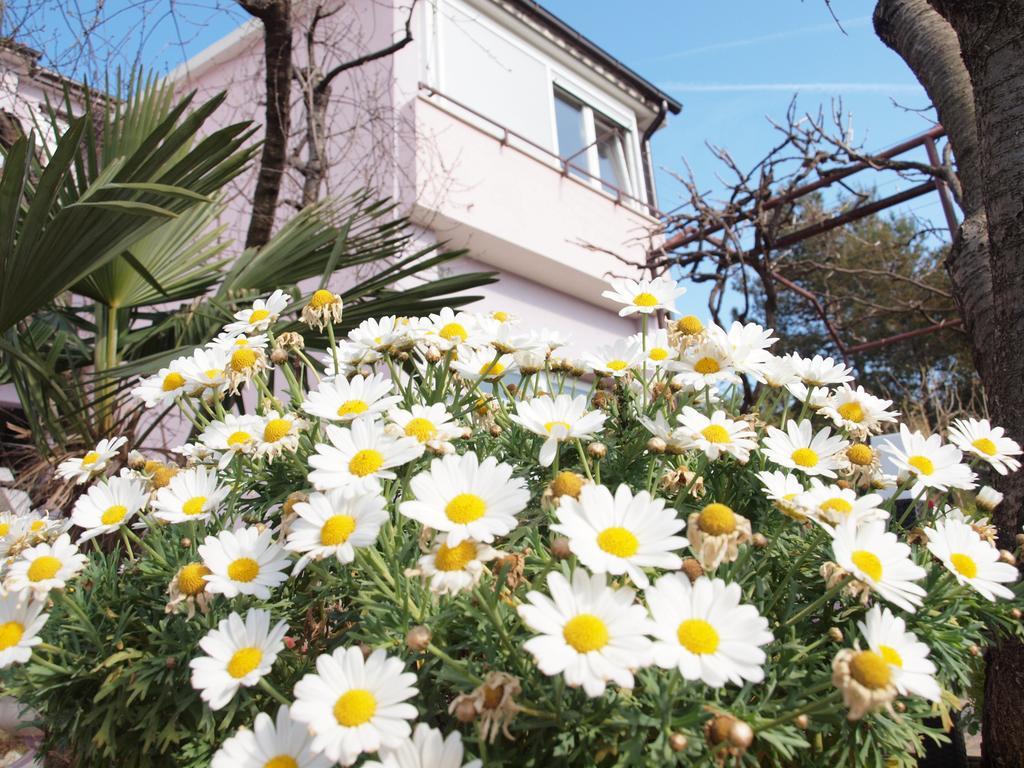 Apartments Zufic Štinjan Esterno foto